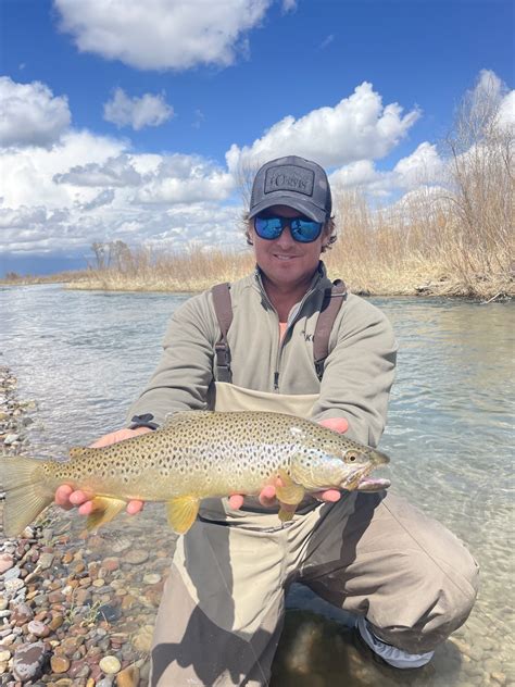 Snake River Angler Fly Fishing Report for September 13th, 2024.